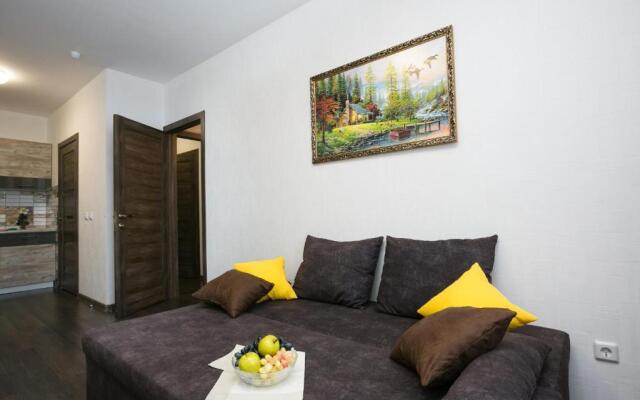 Просторные апартаменты Dayker City Apartments в ЖК Репин Парк