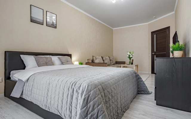 Domino Na Krasnoy Apartments