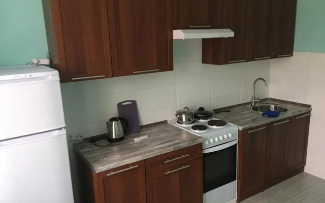 Dreamhouse Na Sputnikov 16/3 Apartments