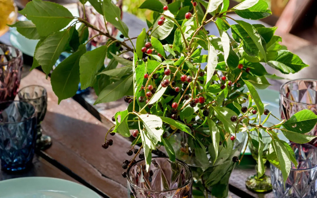 Частный дом Василиса