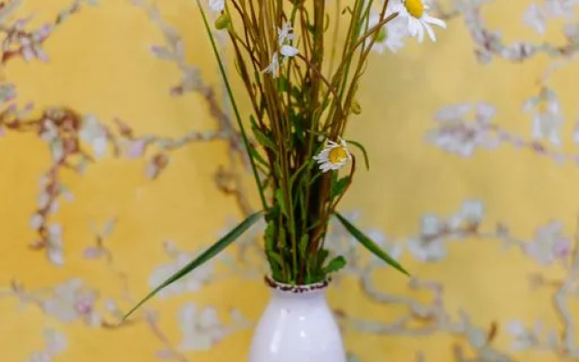 Квартира студия на Невском 14кв