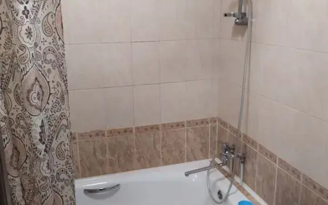 Yevrodvushka U Tsentra Almazova Flat