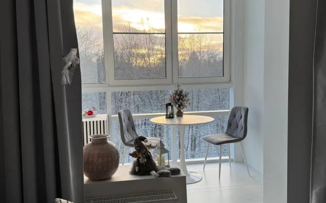 Апартаменты с Бассейном и Сауной в Сестрорецке