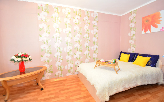 Апартаменты Двухкомнатные на Гладкова 21