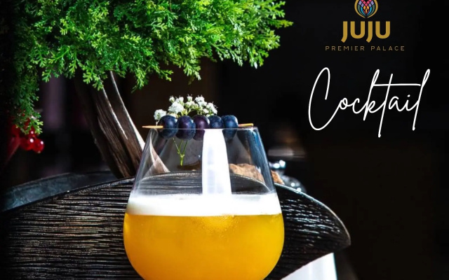 Juju Premier Palace 