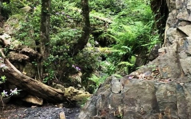 База отдыха Панорама