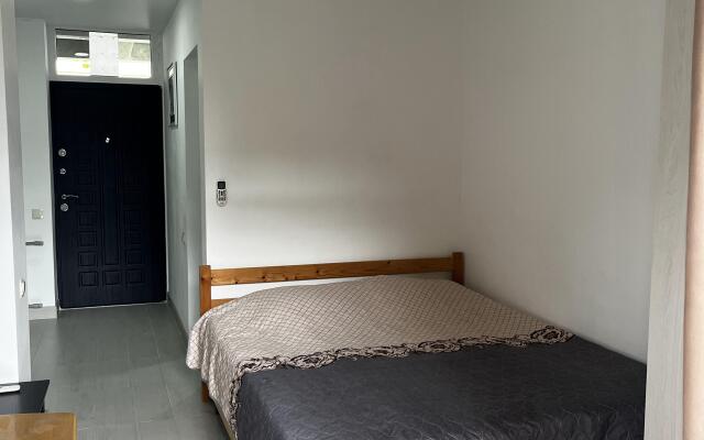Dvukhmestny S Balkonom I Vannoy Komnatoy Apartment