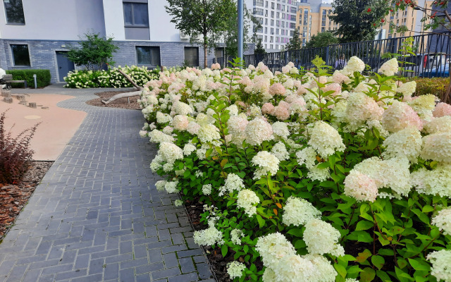 Апартаменты Home Inn