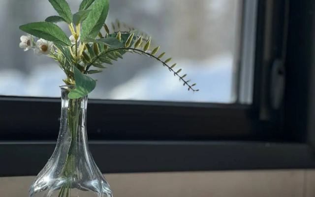 Частный дом Частный панорамный мини-дом