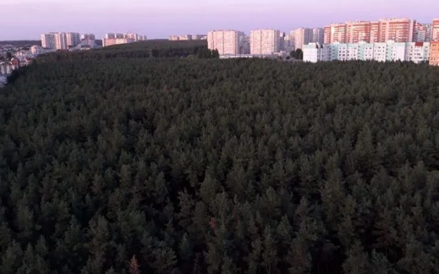 Квартира на бульваре Победы 50В