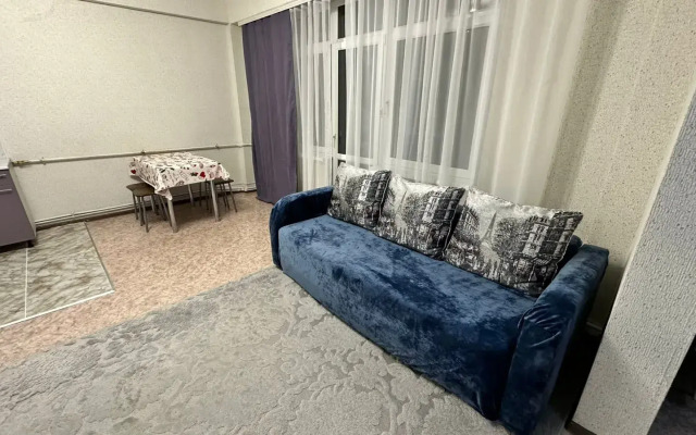 Komfortnyje V Tsentre Apartments