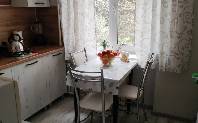 Uyutnaya odnokomnatnaya na Kuybysheva Flat