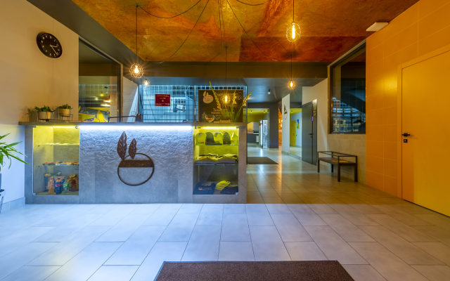 Friday Center Hostel