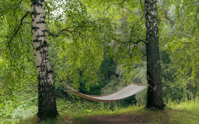 Urman Camp Glamping