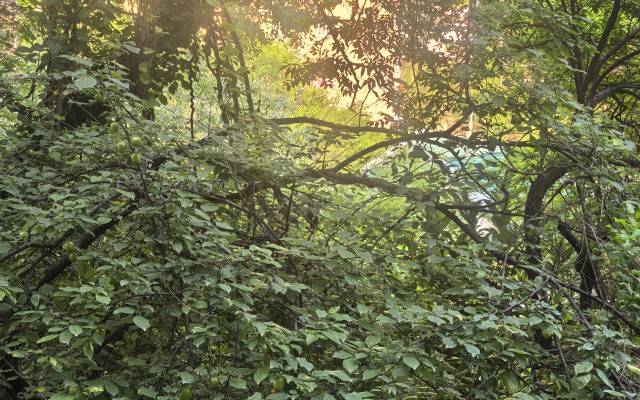 Uyutnaya Kvartira Na Sanatornoy Flat