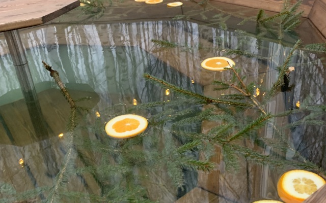 Частный дом A-фрейм в лесу Зеленого города