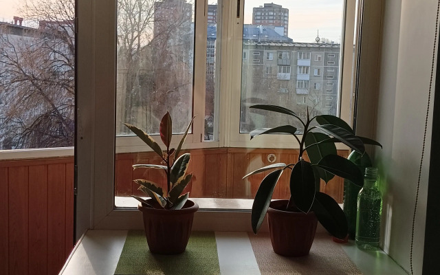 Studiya na Karla Marksa 21 Flat