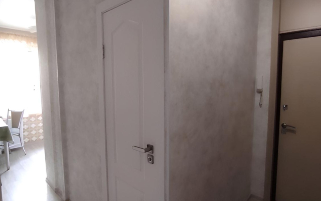 Апартаменты на Галиаскара Камала 47