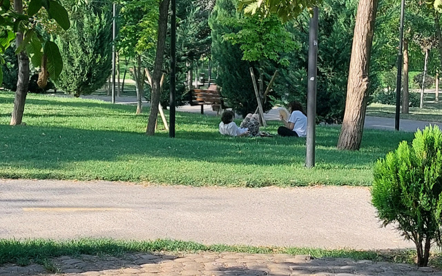 Апартаменты Kiwi