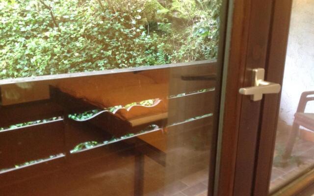 Апарт-Отель Black Forest family