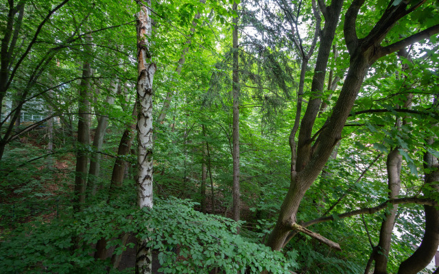 Двухкомнатная квартира Арт в Светлогорске  2  в 750 м от моря