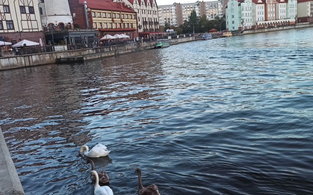 Квартира на Буткова,18 в центре города возле Мирового океана