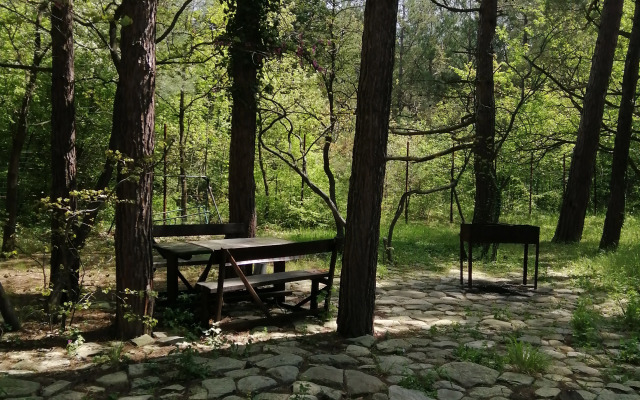 Asiyat Guest House