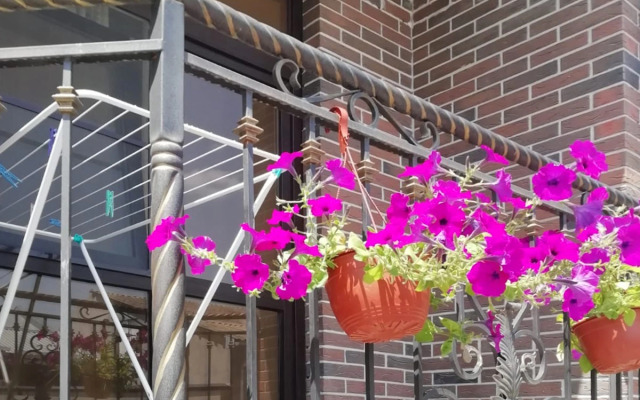 Апартаменты Центра 3 Минуты до Парка Луначарского 29