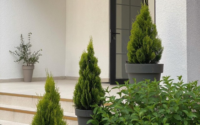 Samshitovaya Roscha Hotel