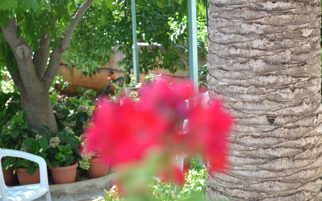 Veggie Garden Athens Guest house