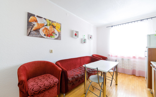 Апартаменты Dayker City Apartments Просторные на Чкалова 5