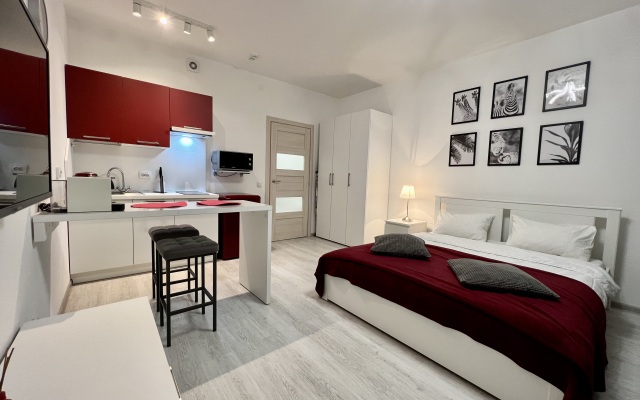 Апартаменты Zina's Apartment