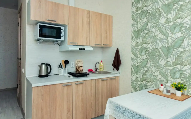 Апартаменты Студия в центре города