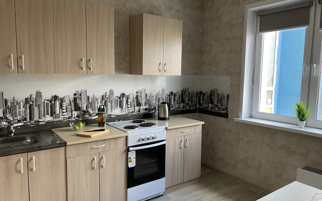 Квартира Большая двухкомнатная Центральный район, Кардиоцентр, ТРЦ Планета