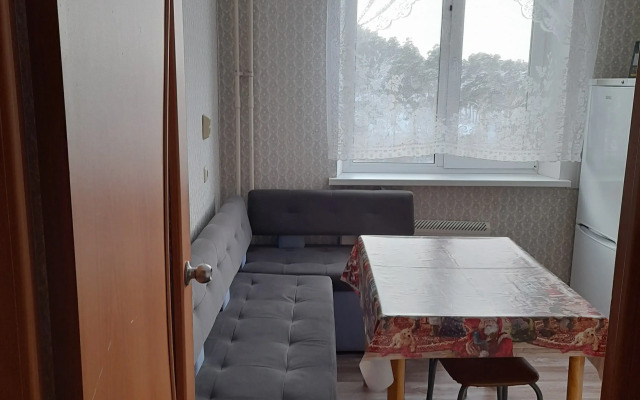 Квартира с видом на Тургояк