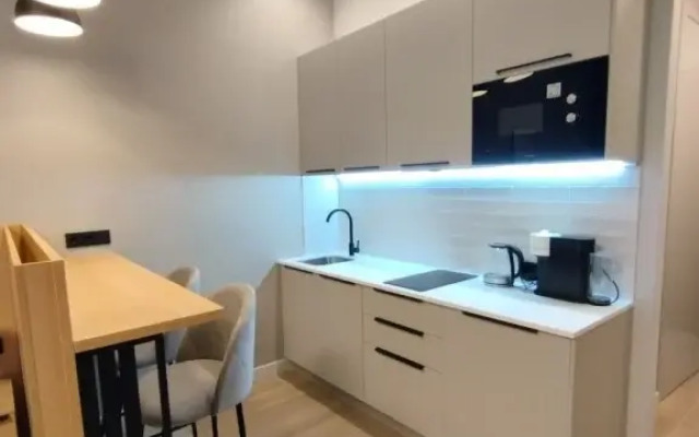 Vasilievsky Loft Studio Apartments 1
