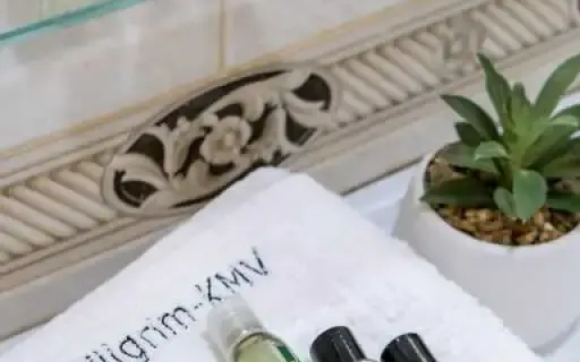 Квартира c Двумя Раздельными Спальнями и Балконом от Пилигрим КМВ