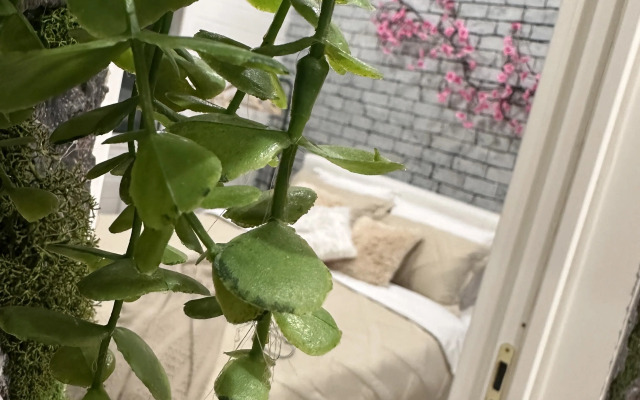 Шале forest is life