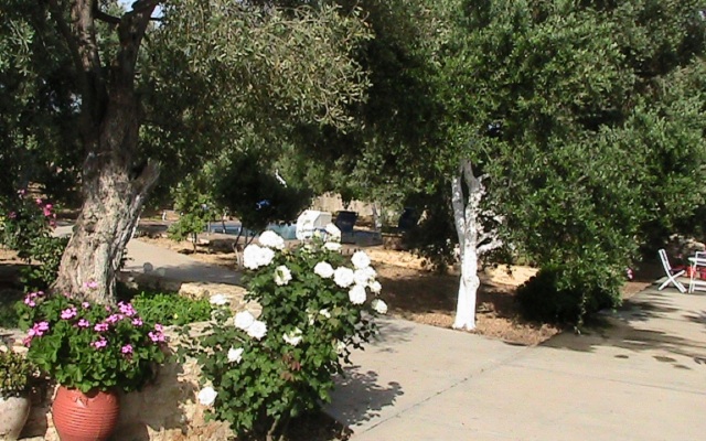 Afroditi Villa