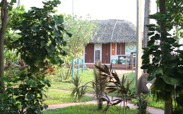 True Blue Beach Resort Hotel