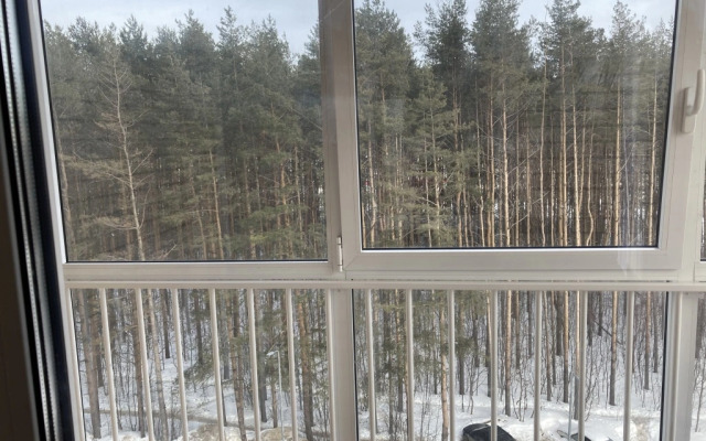 Квартира Двухкомнатная Квартира Рядом с Лесом 1