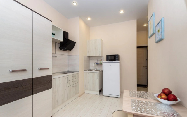 Mini-studiya v Centre s Kuhnej, Dushem i Bolshim Oknom Apartments