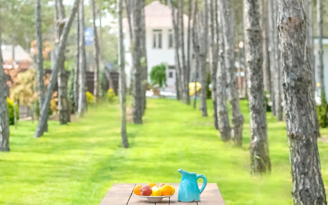 Отель Vital Park