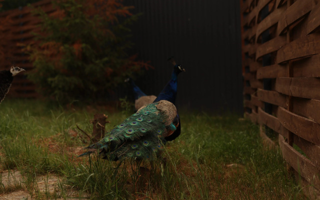 Шале Варилка