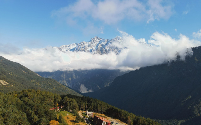 Гостевой дом 1950