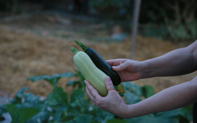 Отель Emirsoy Harası