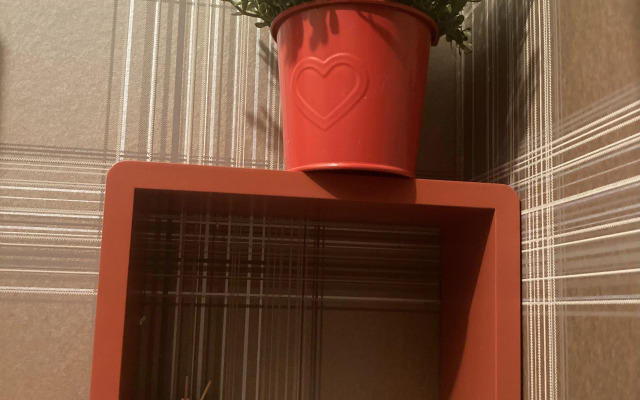 Квартира Атмосферная на Неве