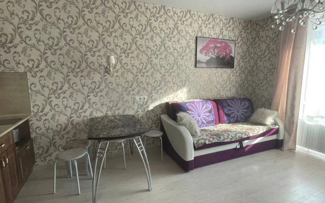 Квартира Уютная на Меге