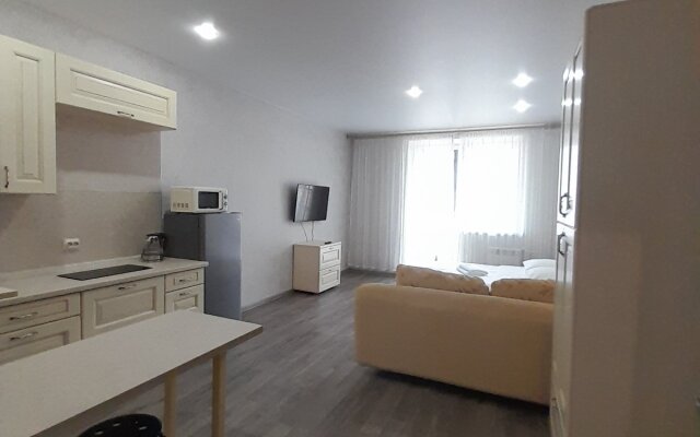 Апартаменты Студия на Светлогорском переулке