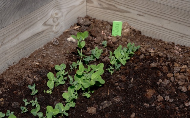 Квартира Best Kantemirovskaya